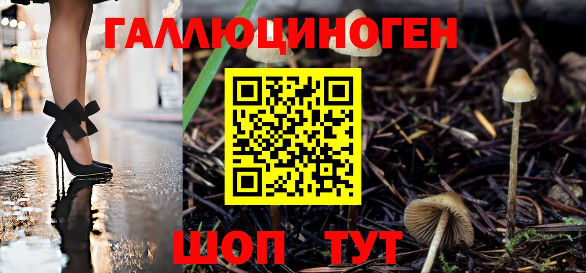 Галлюциногенные грибы мухоморы Кимовск